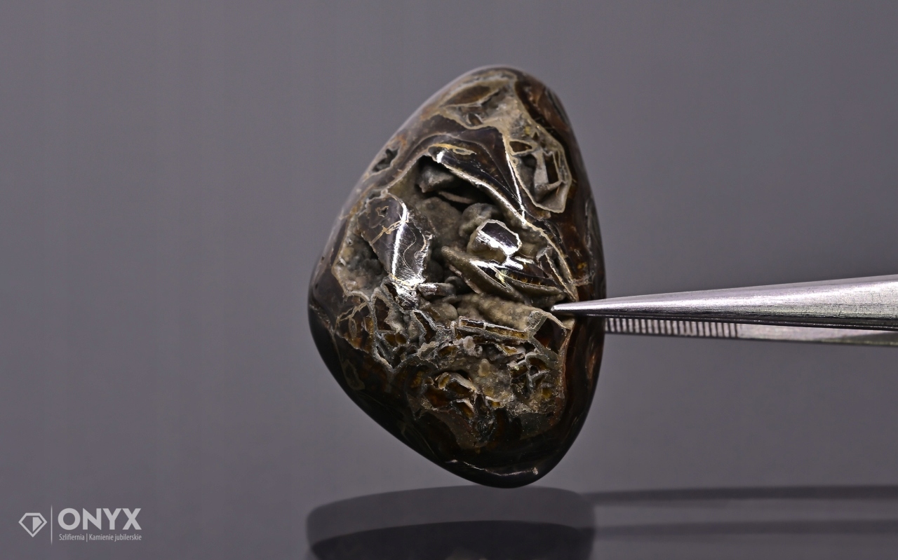 Amonit spiritizovaný nepravidelný 35x24 mm