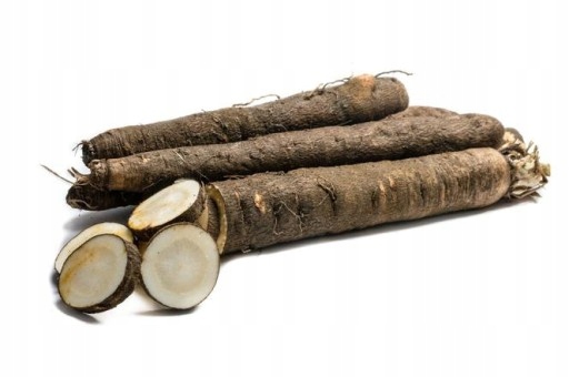 Škorzonera čerstvá 5 kg – Výborná jako chřest
