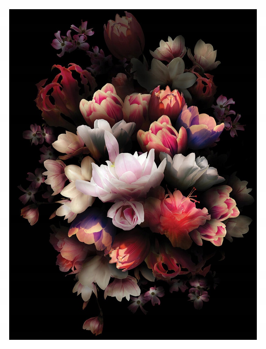 Fototapeta flizelina Tulipány a pivoňky na tmavém pozadí, květy 206x275 lepidlo