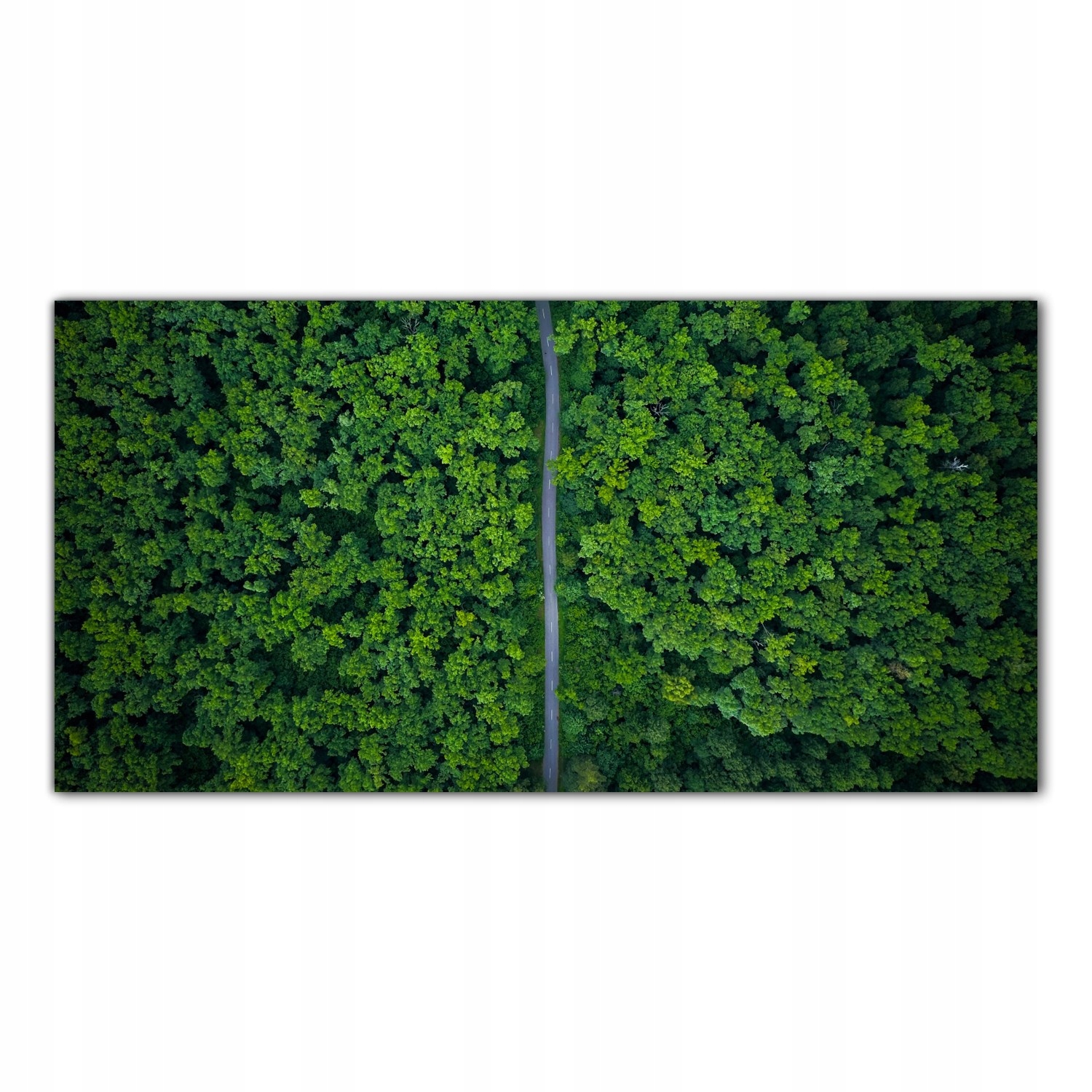

Obraz Szklany Foto-obraz Las Natura Droga 140x70
