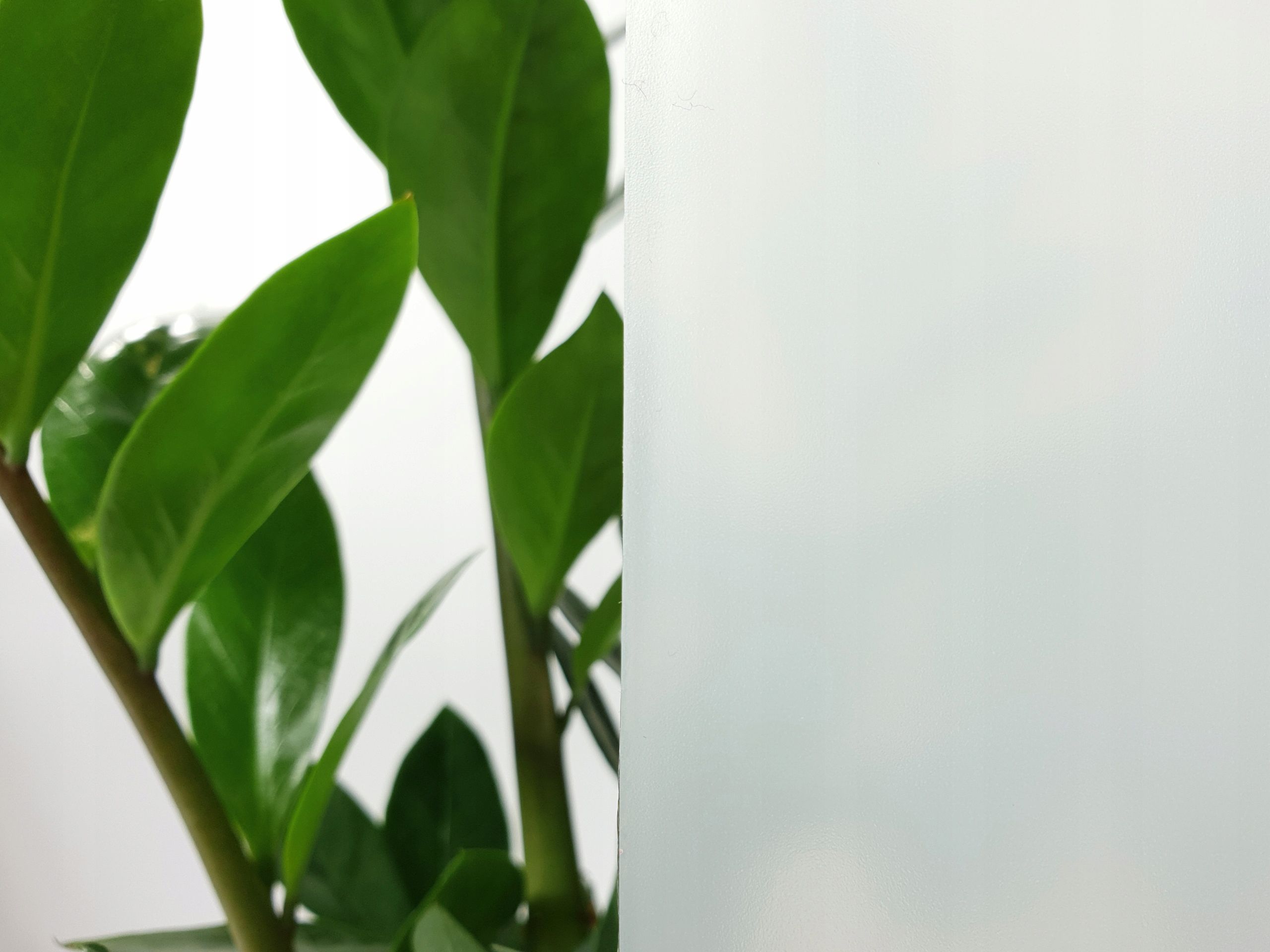 Folia Okleina Okienna MLECZNA 45x50 H1 Kolor biały