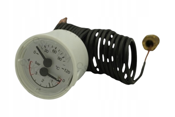 TermoManometr Immergas Eolo Nike Mini • Cena, Opinie