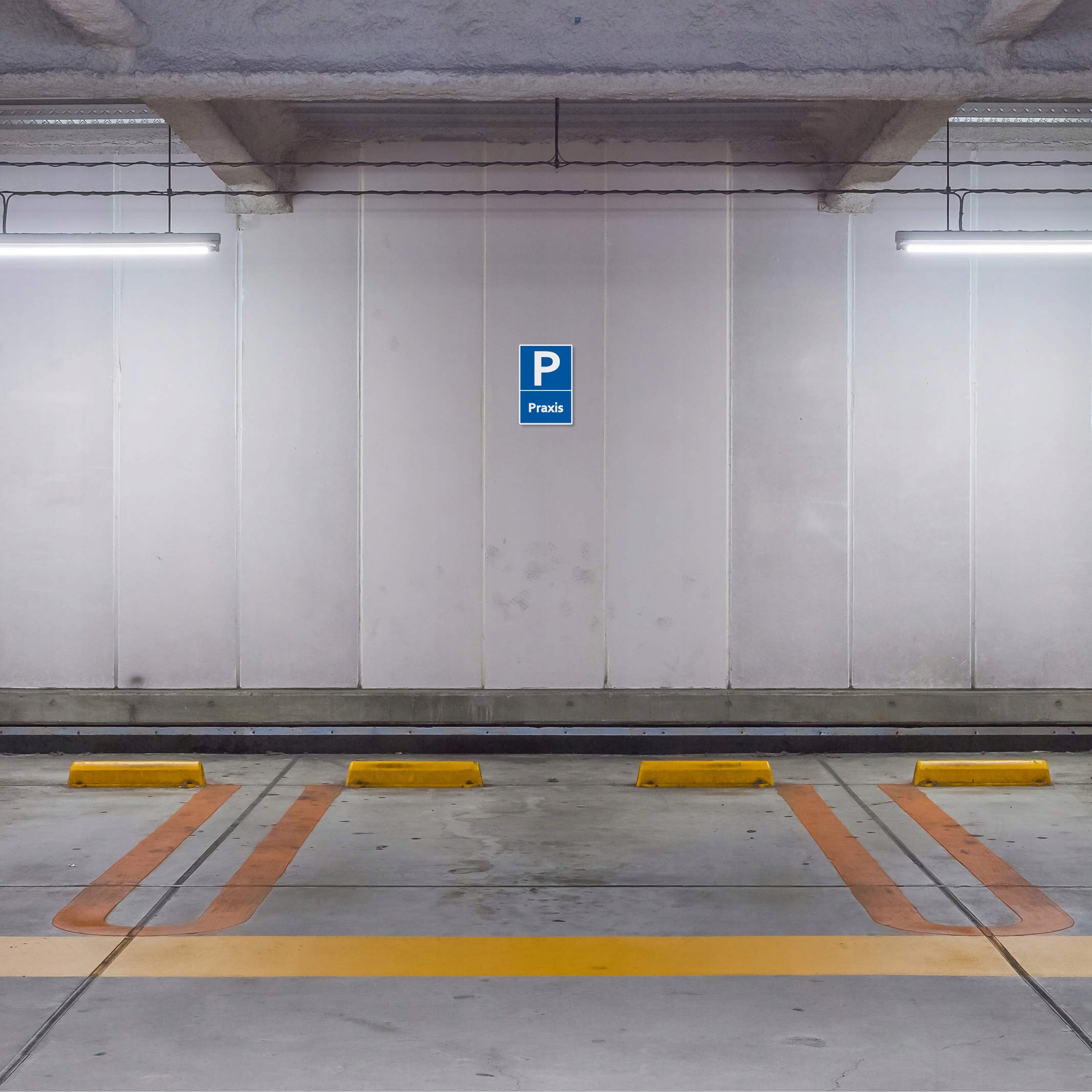 5 sztuk tarcz do ćwiczeń 20 x 30 cm ze stabilnej Marka inna