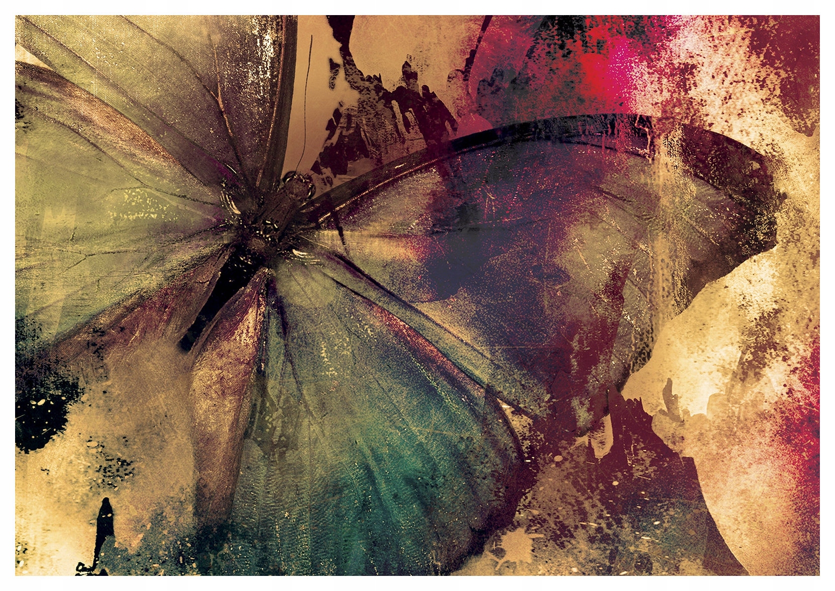 Vliesová fototapeta Motýlí křídla Makro Abstrakce Barva 416x254 lepidlo