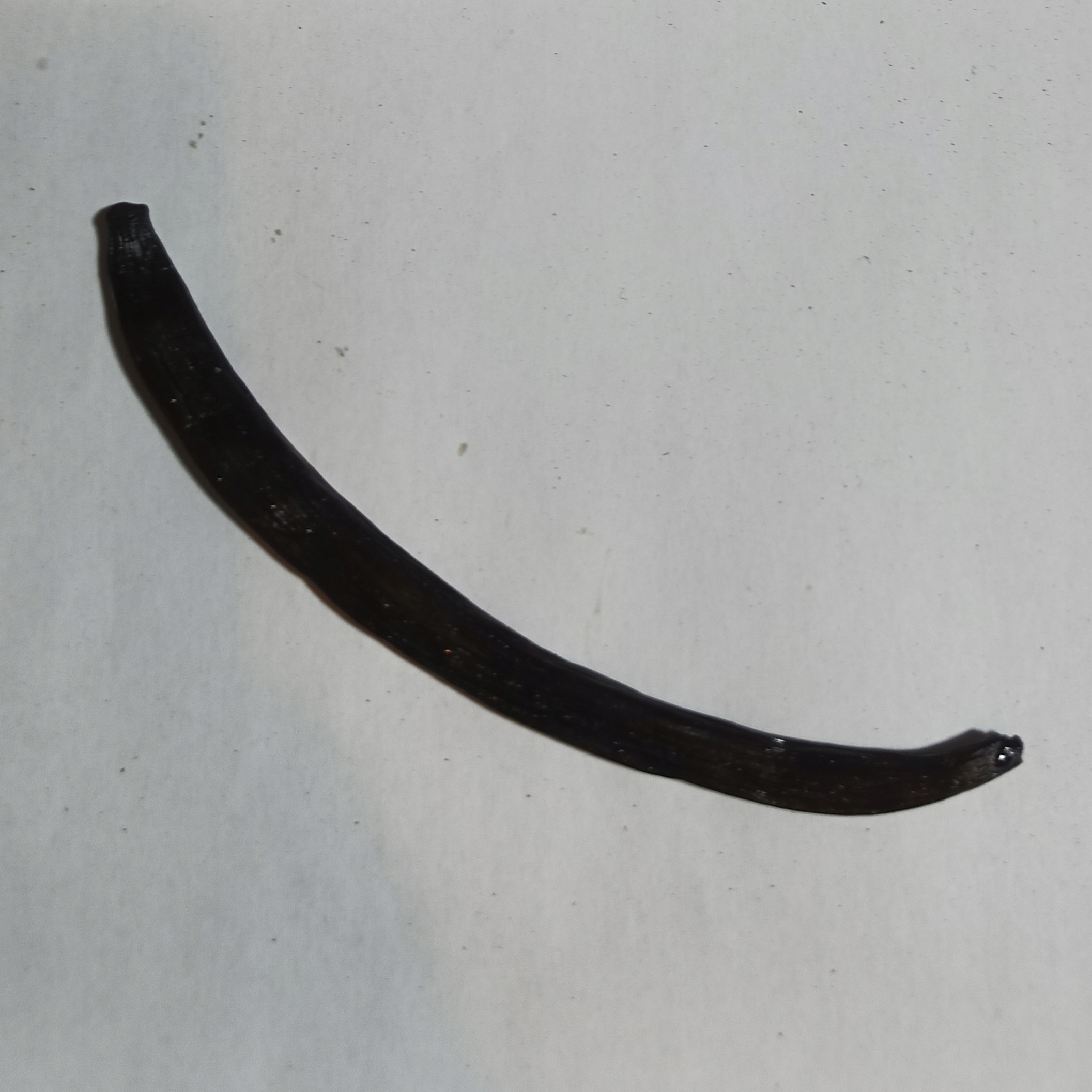 Levně Vanilkové Lusky Větší vlhkost 1 kg Rafex