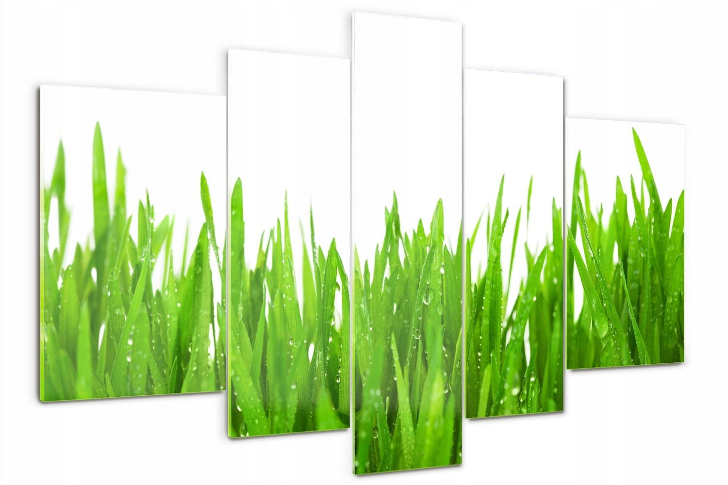 Foto Obraz skleněný triptych moderní Tráva
