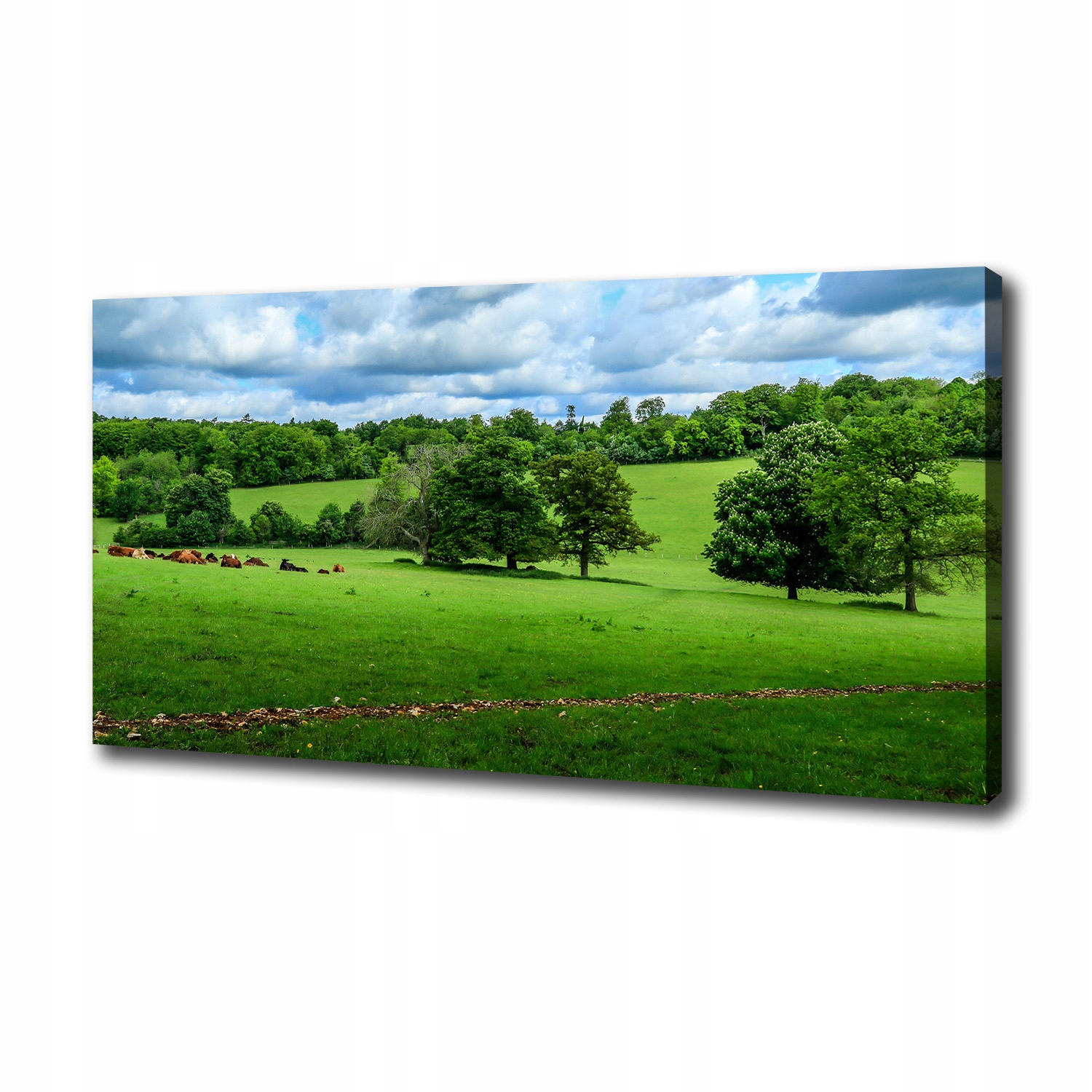 

Foto obraz na płótnie Zielone wzgórza 100x50 cm