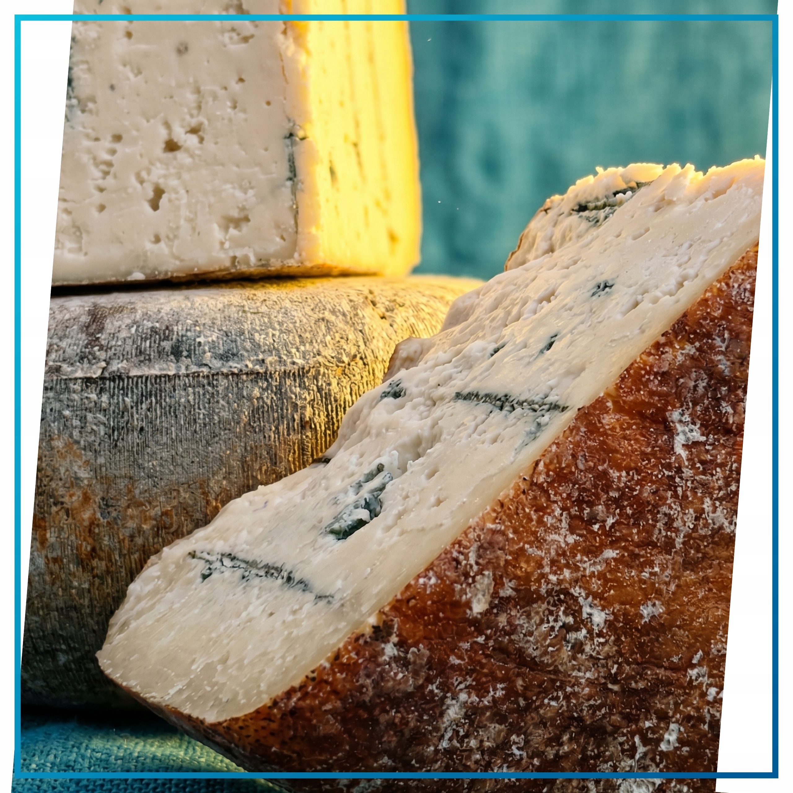 Francuski Ser Tomme Grise de Chevre au Bleu Kozi Pleśniowy 300g Flomaro