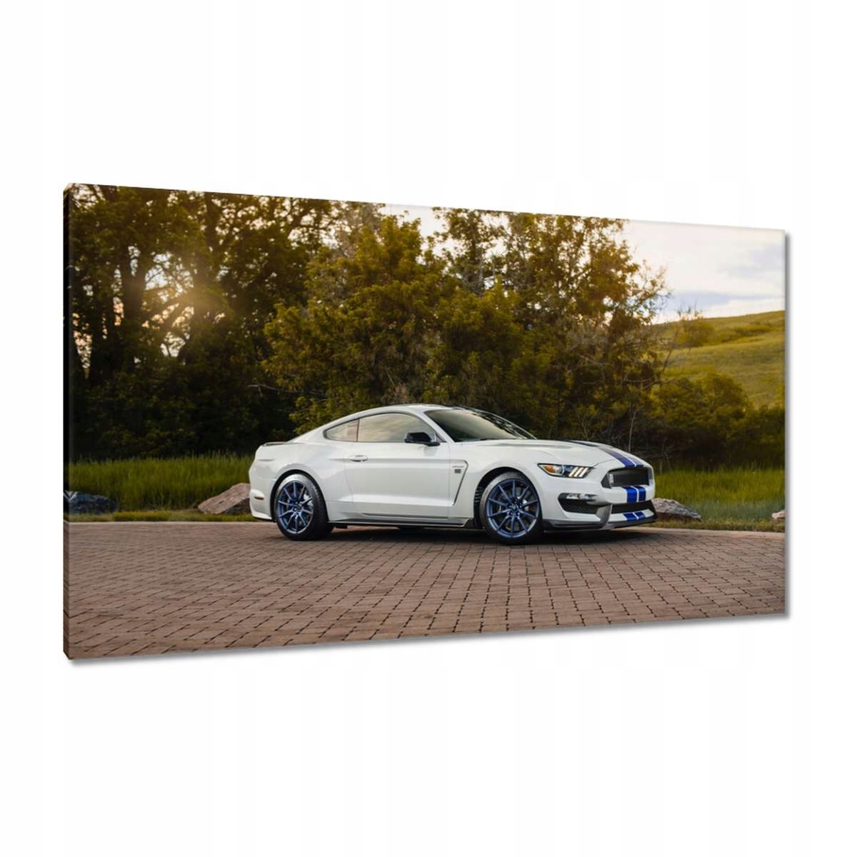 Obrazy 120x70 Ford Mustang Auto Usa