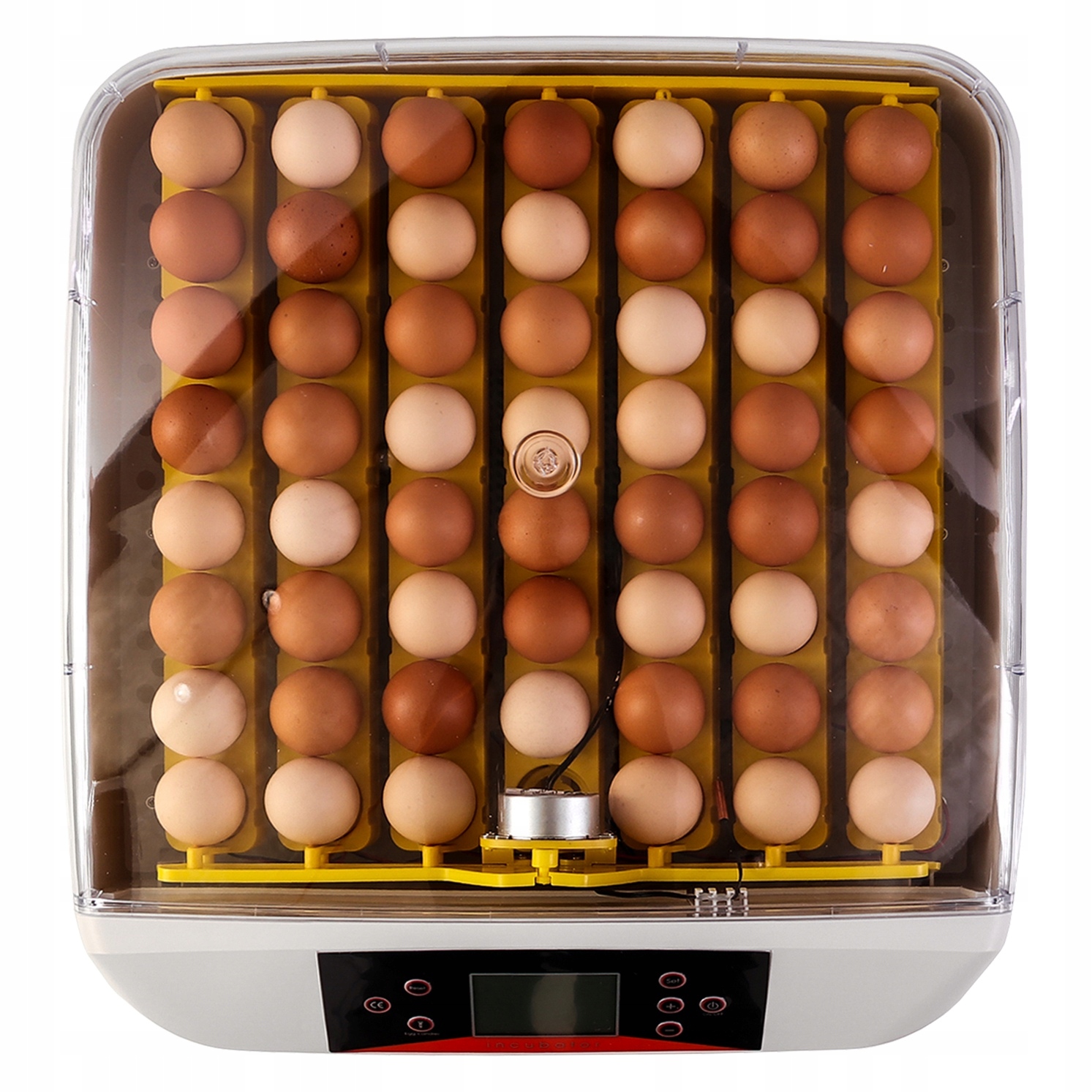 HFM BRUTEREI INKUBATOR Z TERMOSTATEM NA 56 JAJ ŚWIETNA JAKOŚĆ DUŻE JAJA Nazwa handlowa INKUBATOR EW-56S