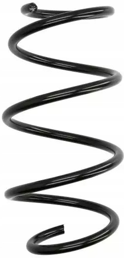 Лезиофори 4008534 Sprezyna ходової частини