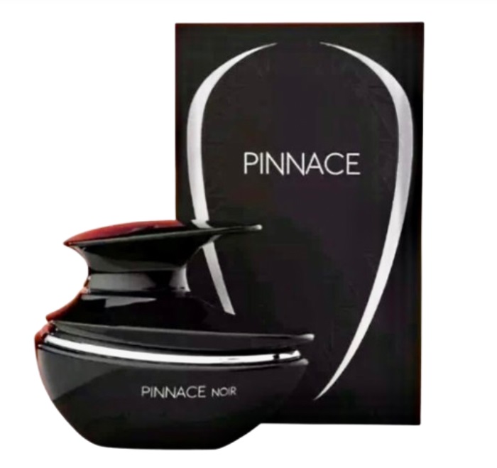 Fragrance World French Avenue Pinnace Noir 100 ML Parfémovaná Voda Pro Muže