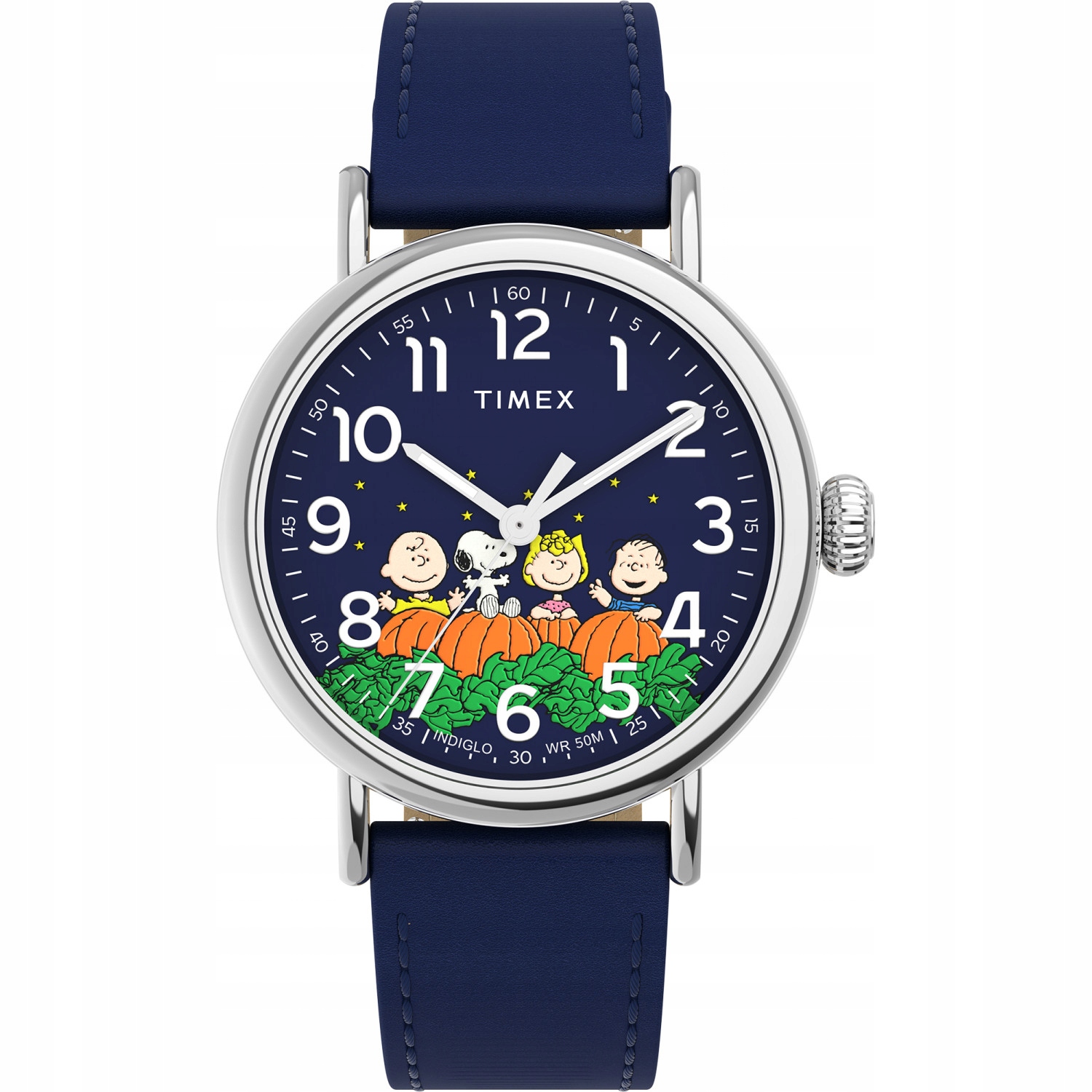 Pánské Hodinky Timex TW2W72700 modré