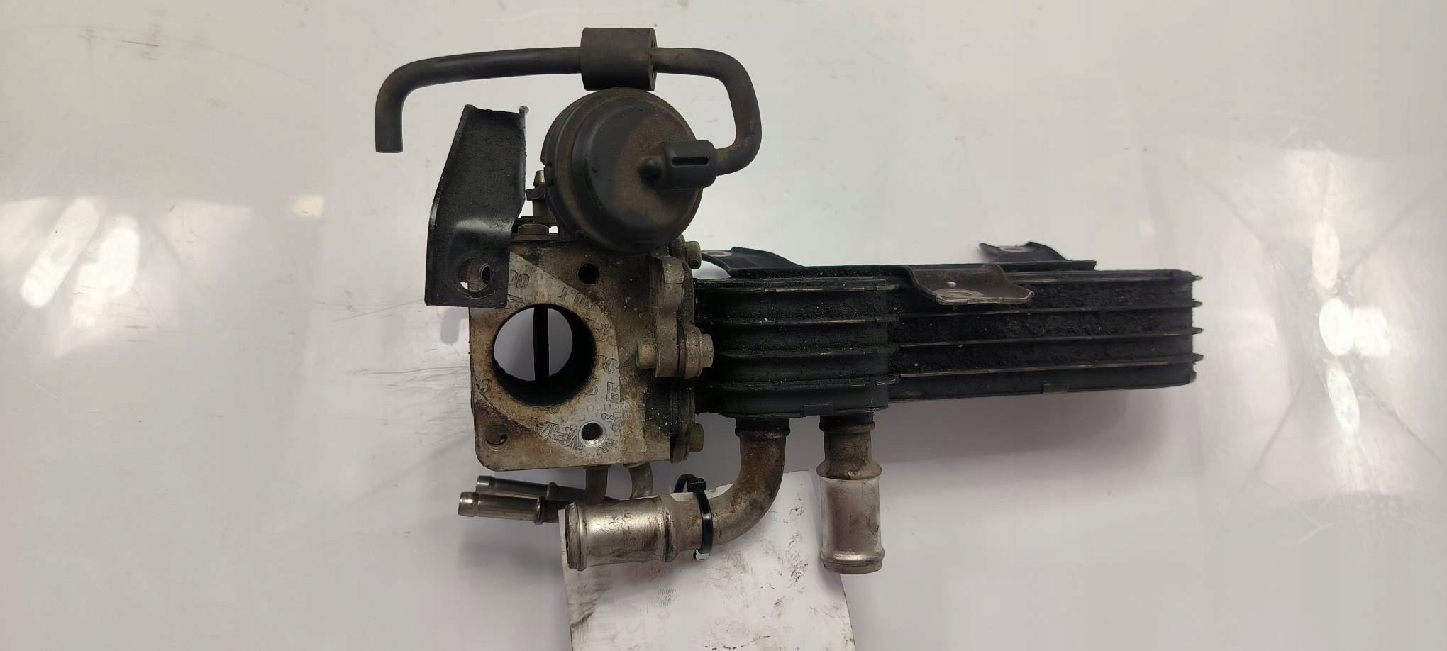 Radiatore / Raffreddatore EGR 03G131063E VOLKSWAGEN TOURAN e