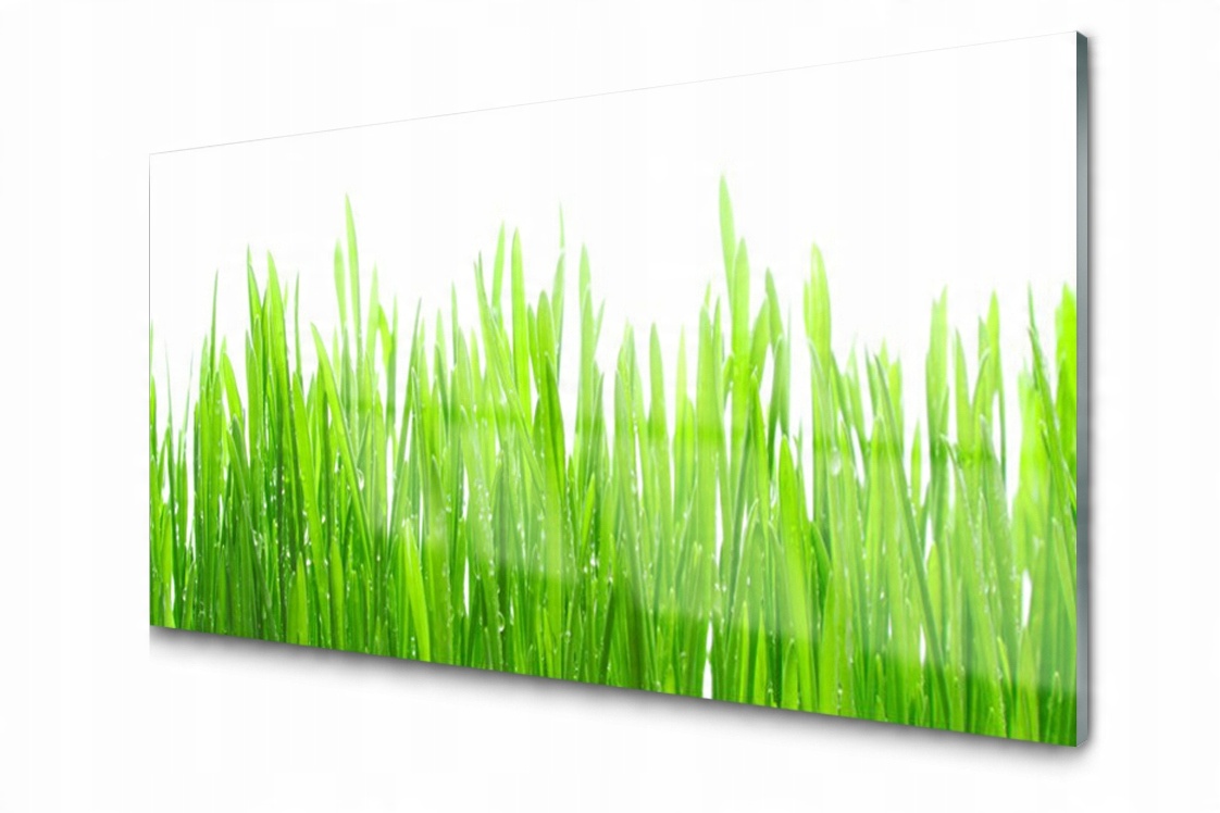 

Panel szklany Płytka Trawa Roślina 140x70 + Klej