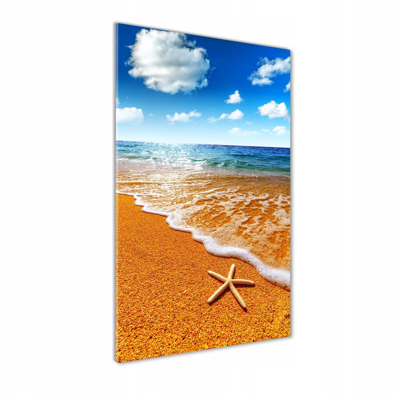 

Foto obraz akrylowy Rozgwiazda na plaży 50x100cm