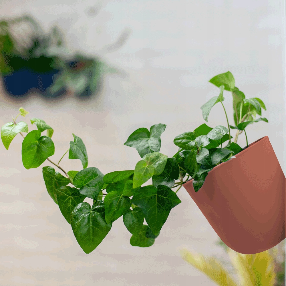 OSŁONKA NA DONICZKĘ doniczka produkcyjna gratis PLASTIKOWA MAŁA DONICZKI Marka Wielorybie Rzeczy