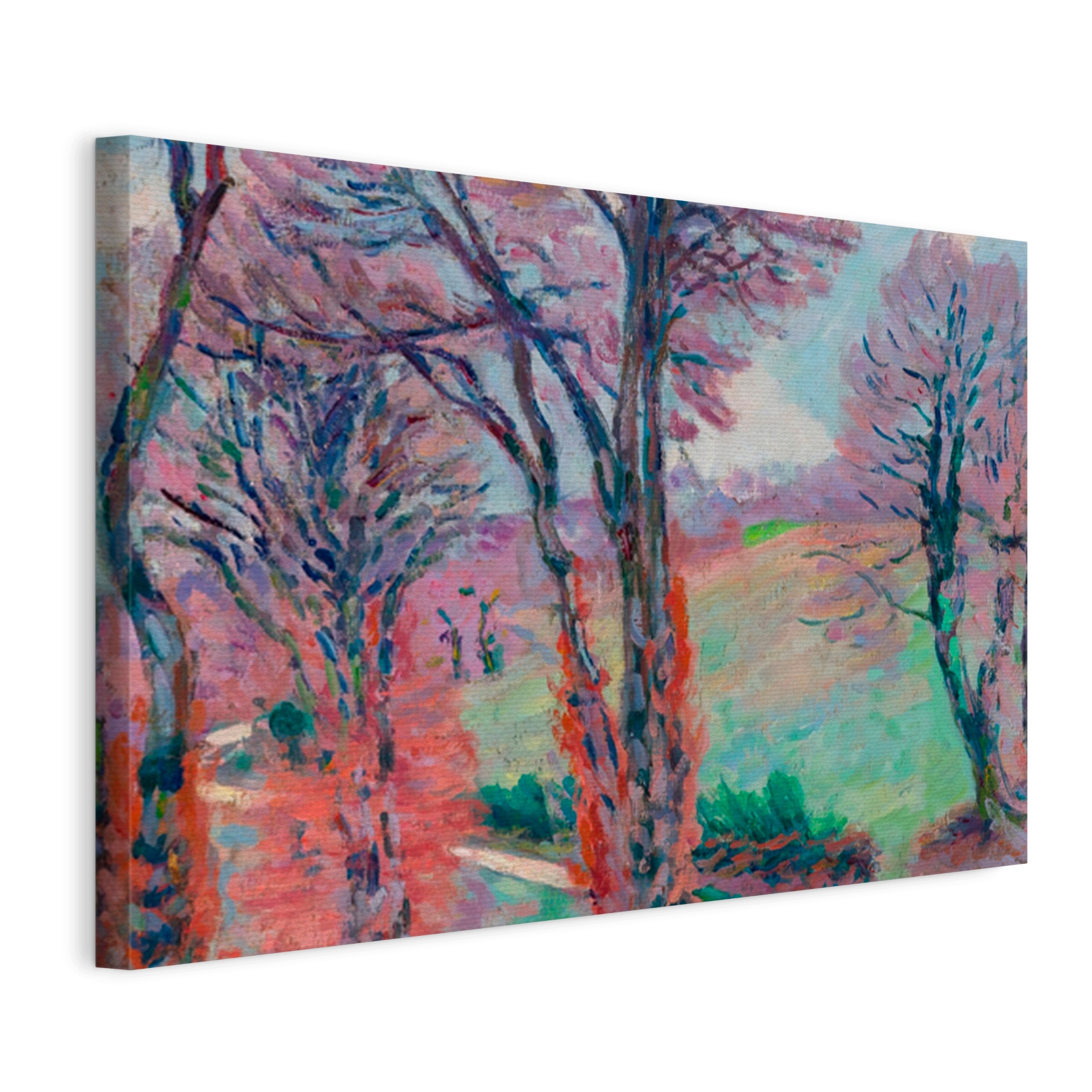 Obraz na plátně Armand Guillaumin – Krajina nad Creusem, plátno 100x70