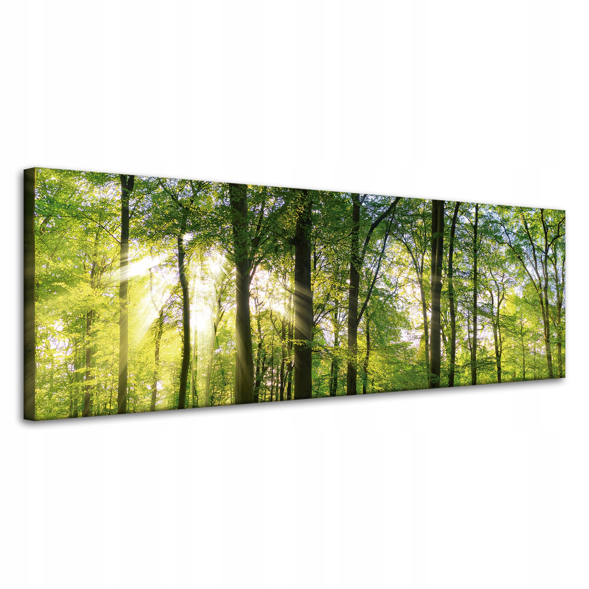Obraz na plátně Slunce Les Stromy Paprsky Světla 120x40 cm