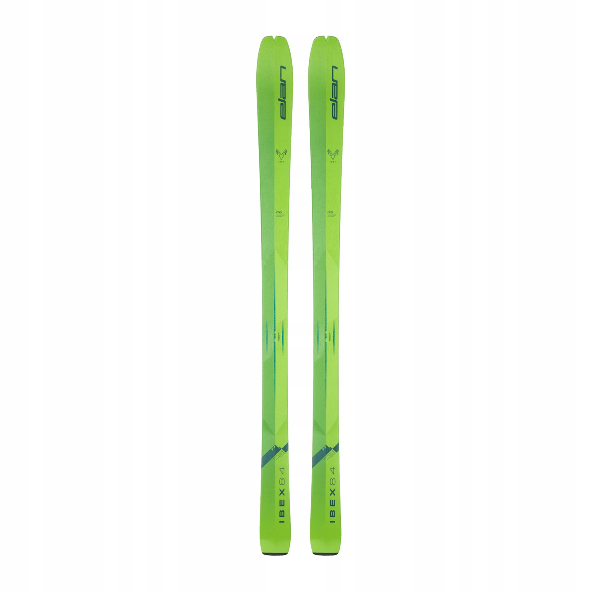 Narty skiturowe Elan Ibex 84 zielone AEDJTL22 170 cm