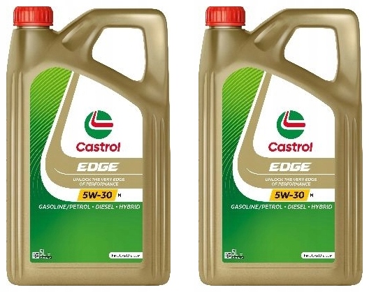 Castrol 15F6DC Motorový Olej