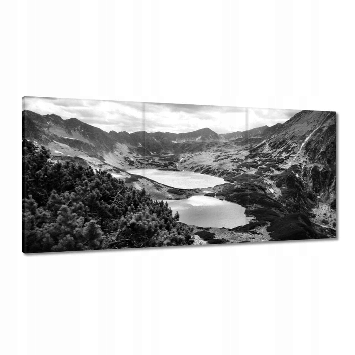 Obrazy 210x100 Tatry Poľské hory Pohľad