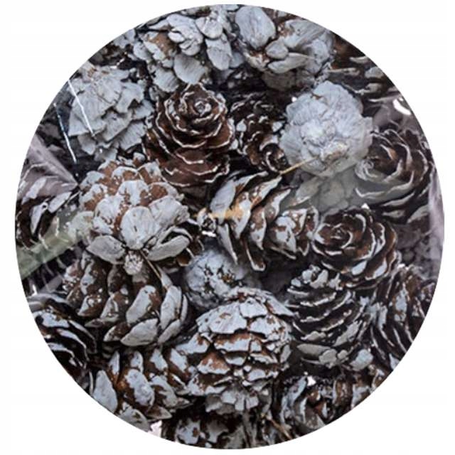 

Dekoracja Szyszki ośnieżone Świąteczne naturalne M