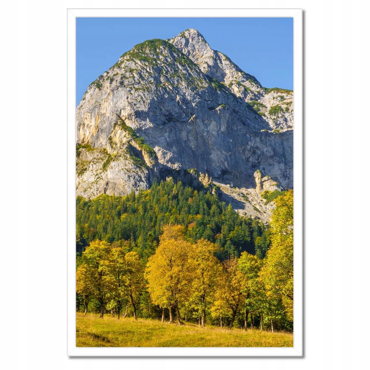 Plakáty v rámu 40x60 Horská krajina s čistým nebem Stromy v horách