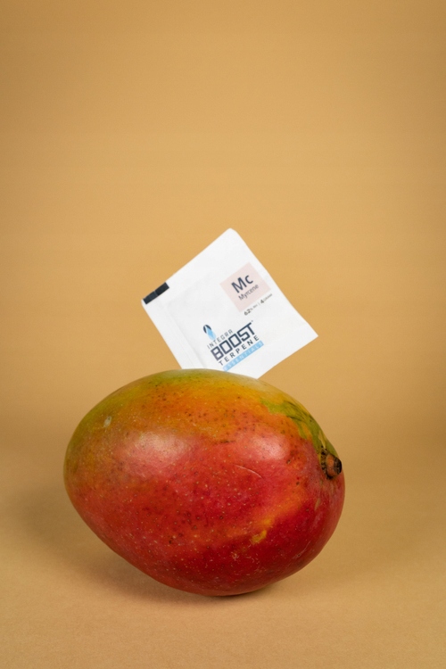

Integra Boost Myrcene 4G 62% regulator wilgoci