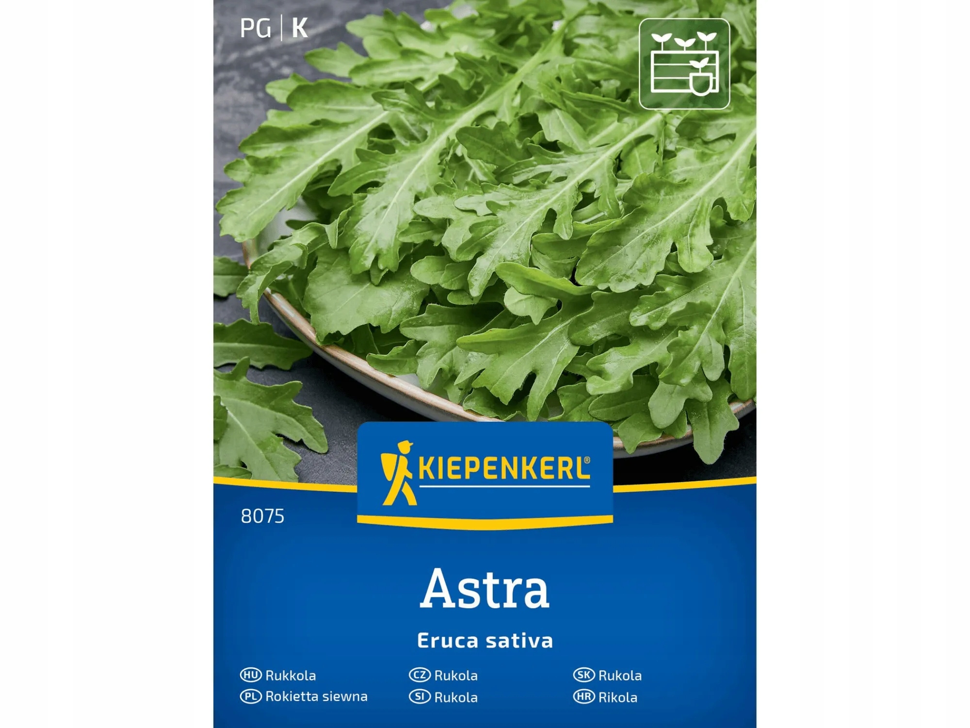 Rukola Astra Kiepenkerl 8075