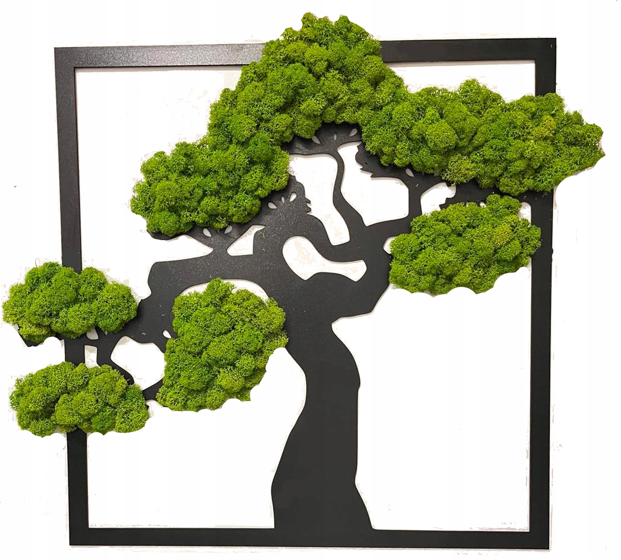 Drzewko bonsai Mech Chrobotek 40 cm