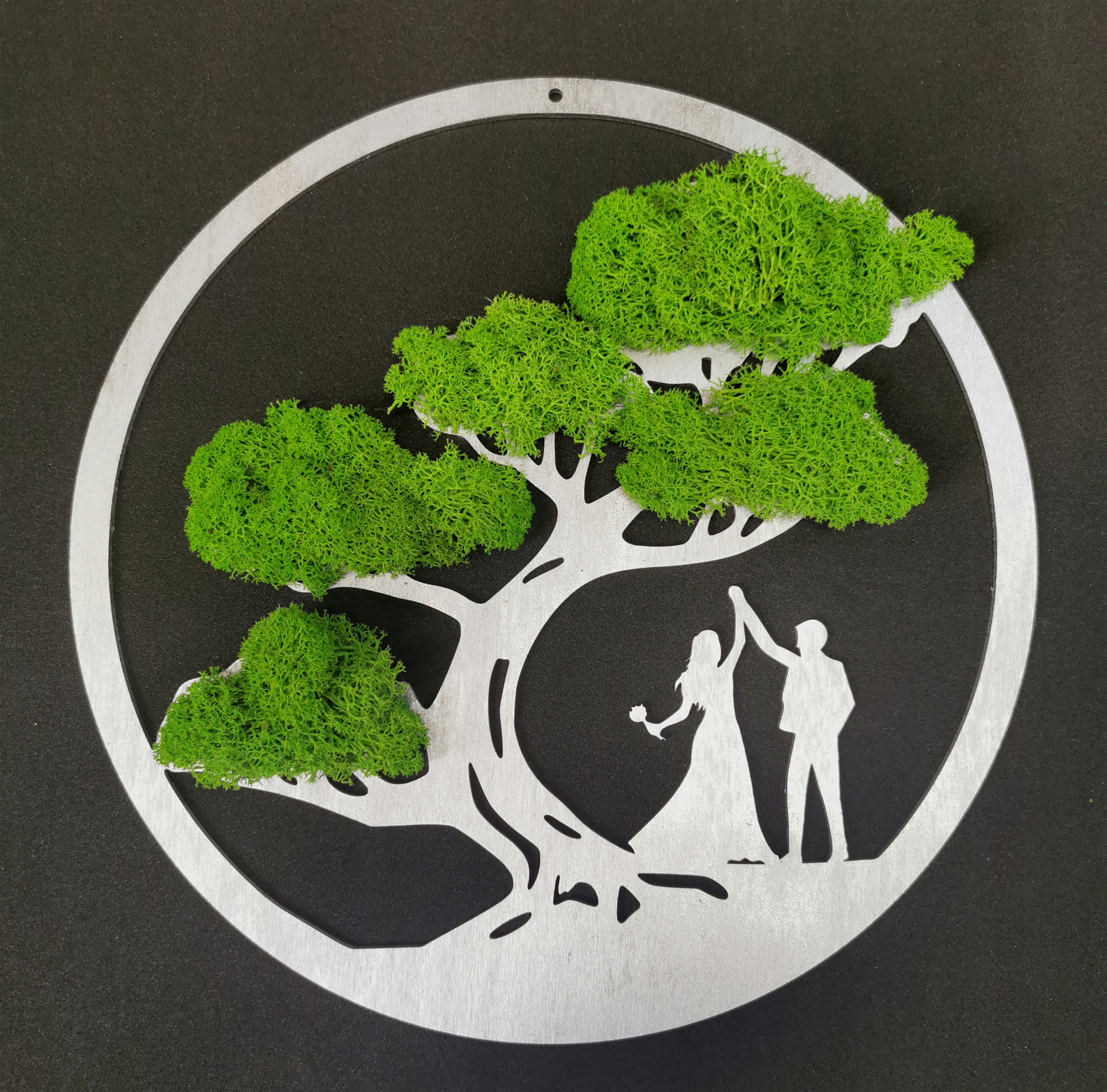 Obraz Dřevo Mech 30/30 chrobotek bonsai Dekorace stříbrná barva Dárek