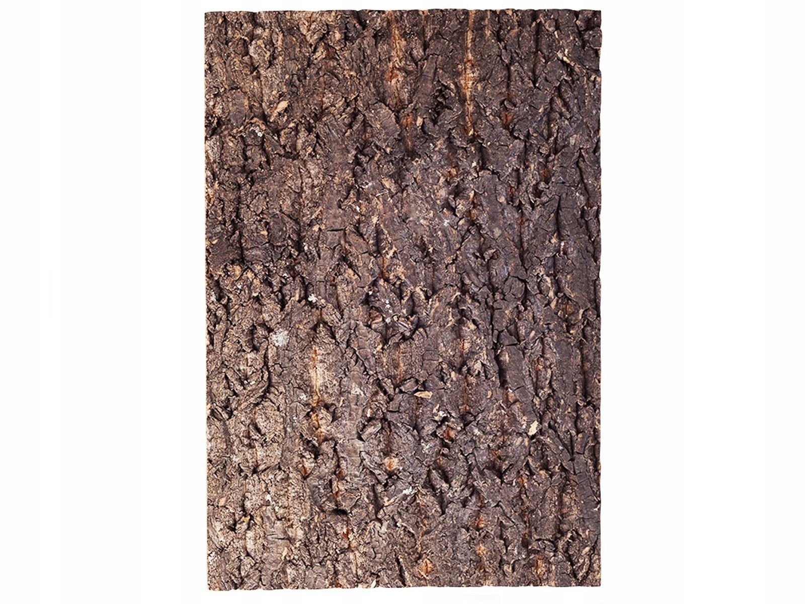 Levně Korkové pozadí 30x45cm Repti-Zoo