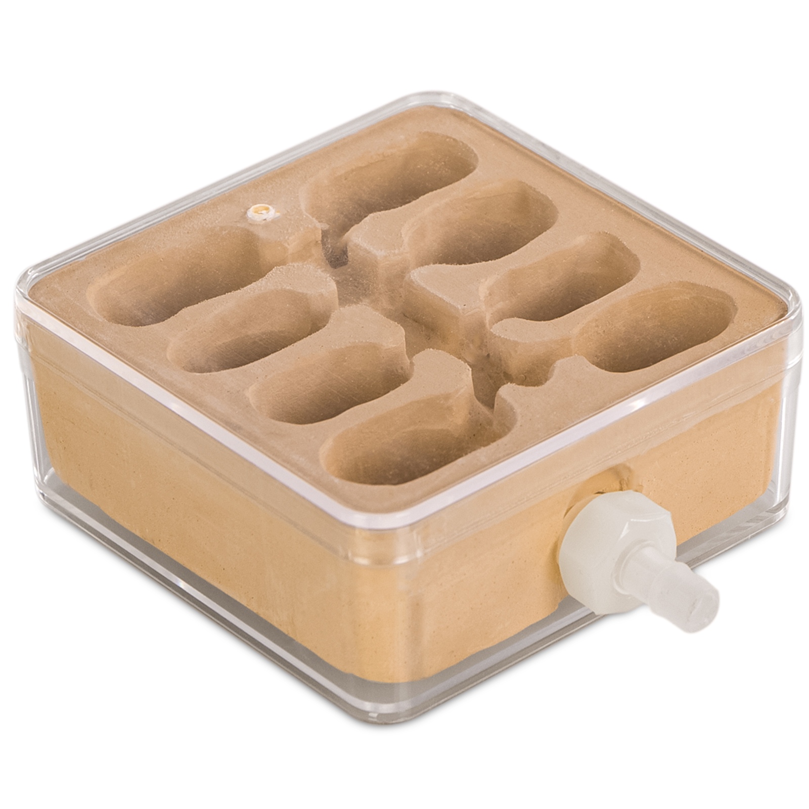 Levně Přídavná Zásuvka Do Formikária Pro Mravence, Transparentní Modul 8 MM