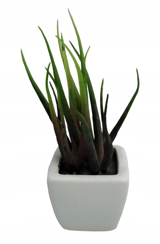 

Sukulent sztuczny w doniczce Roślina trawka 14 cm