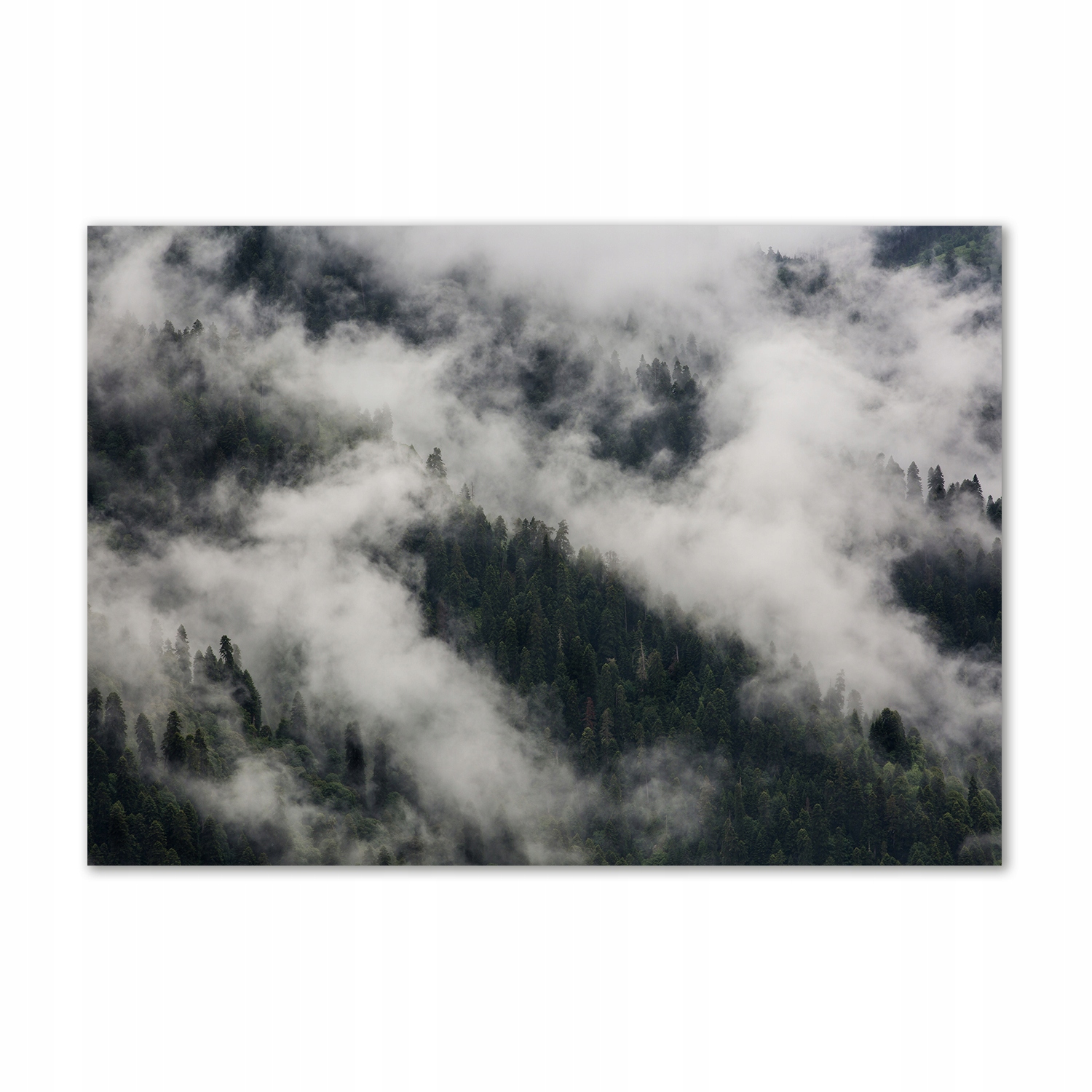 

Foto obraz szkło akryl Mgła nad lasem 100x70 cm