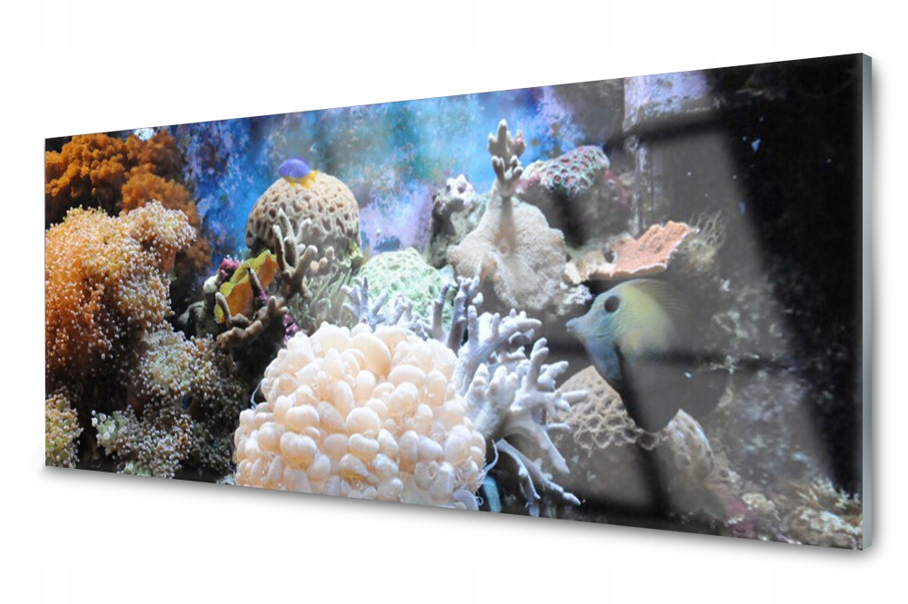 

Panel szklany do kuchni Rafa Koralowa Morze 125x50