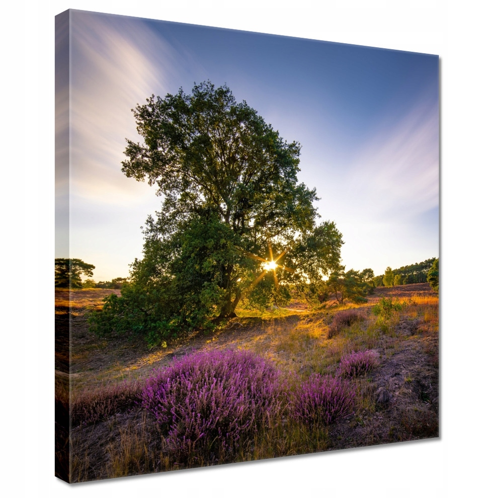 

Obrazy 50x50 Pejzaż Krajobraz Widoczek