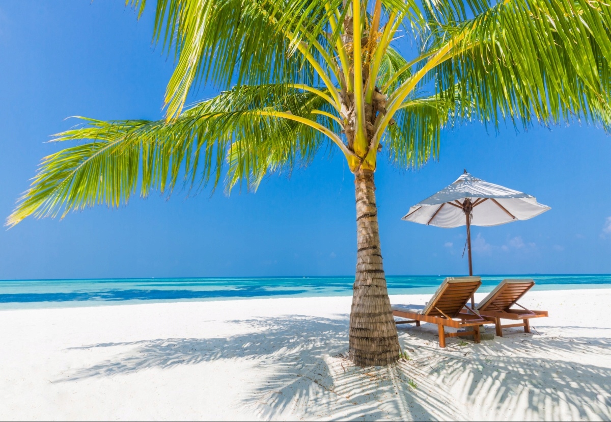 

Fototapeta Flizelinowa Tropikalna plaża 152x104