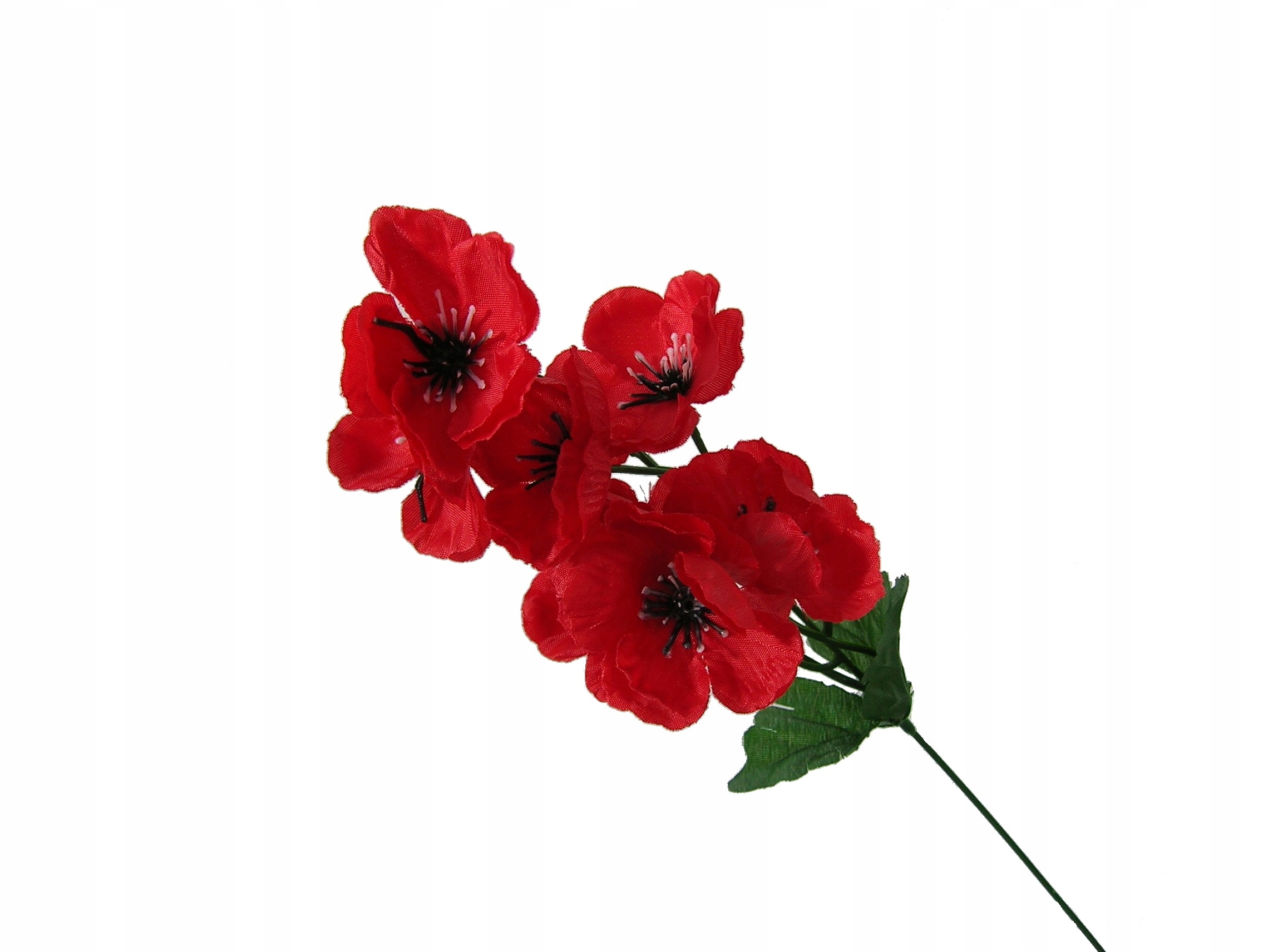 

Polne Kwiaty Polskie Polne Czerwone Maki