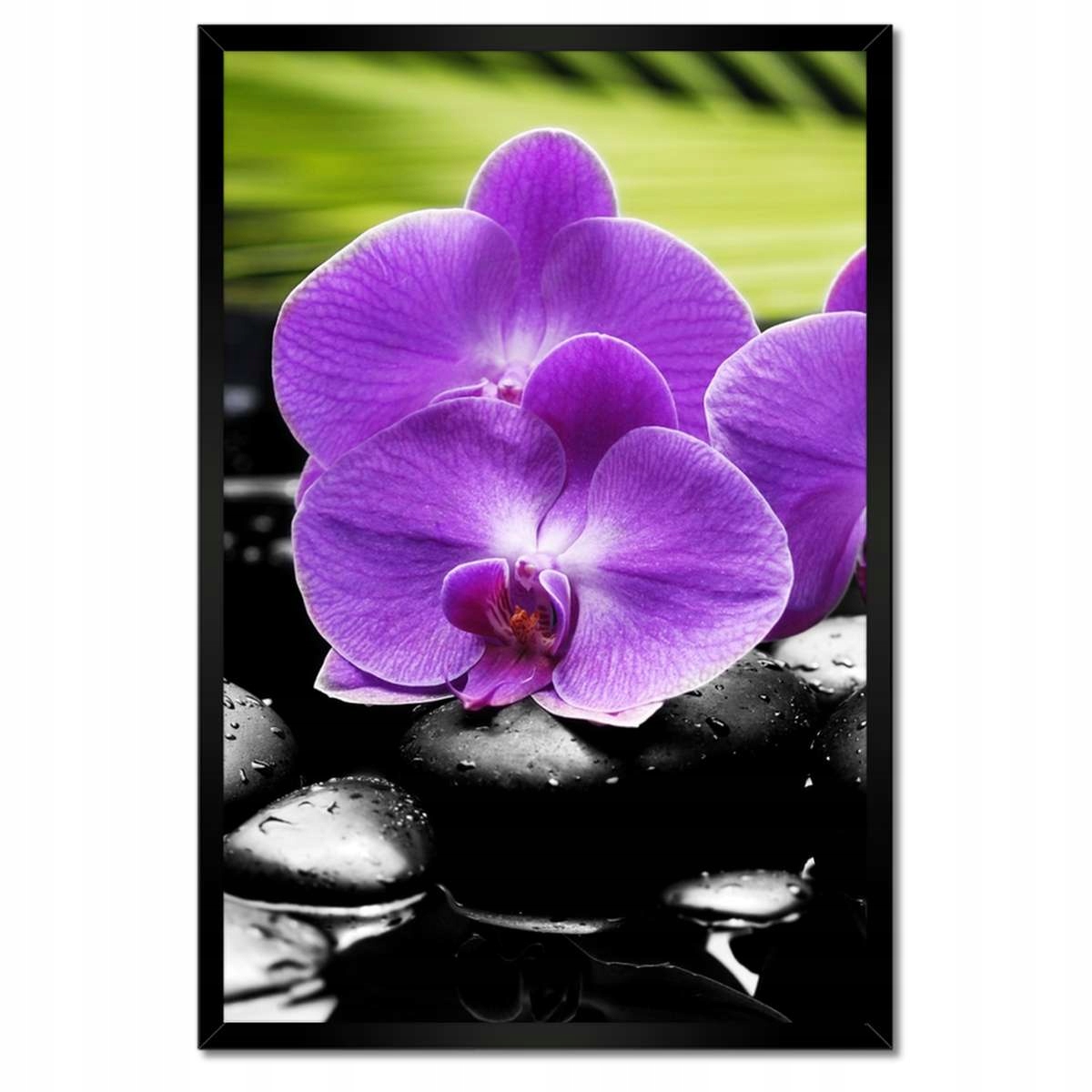 Plakáty v rámu 40x60 Fialové orchideje