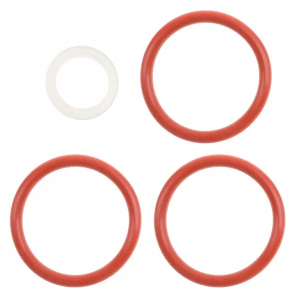 Delonghi Esam Etam Ecam Eam uszczelka zaparzacz