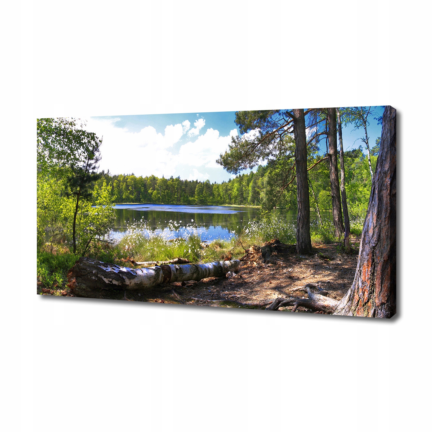 

Foto obraz na płótnie Leśna panorama 140x70 cm