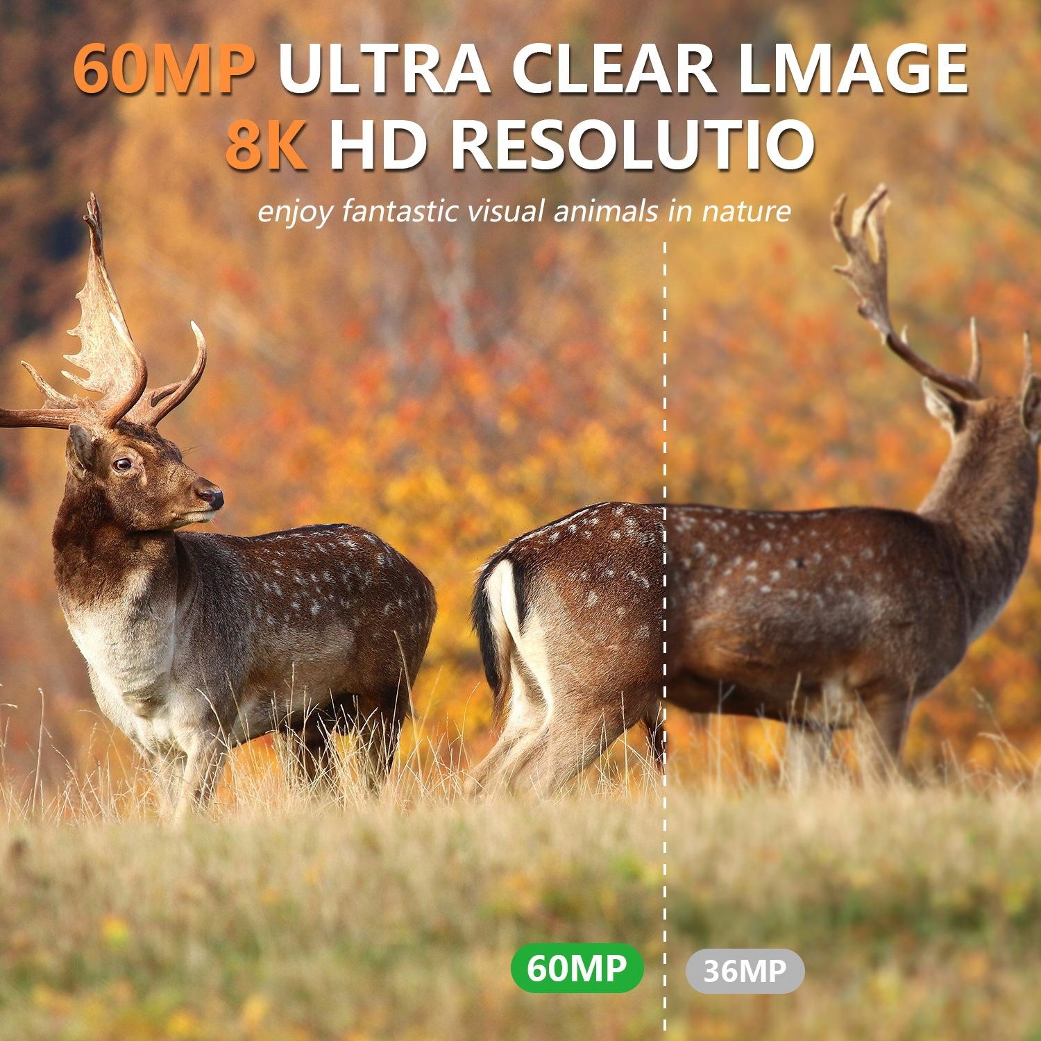 Pr903W Wifi Версія 8K Hd Інфрачервона Мисливська Камера Нічного Бачення
