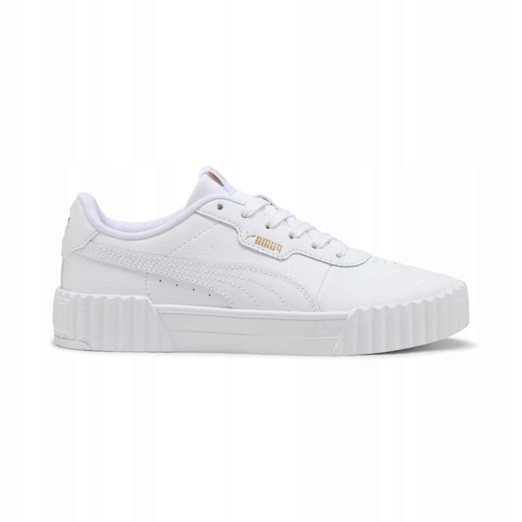 Puma Carina 3.0