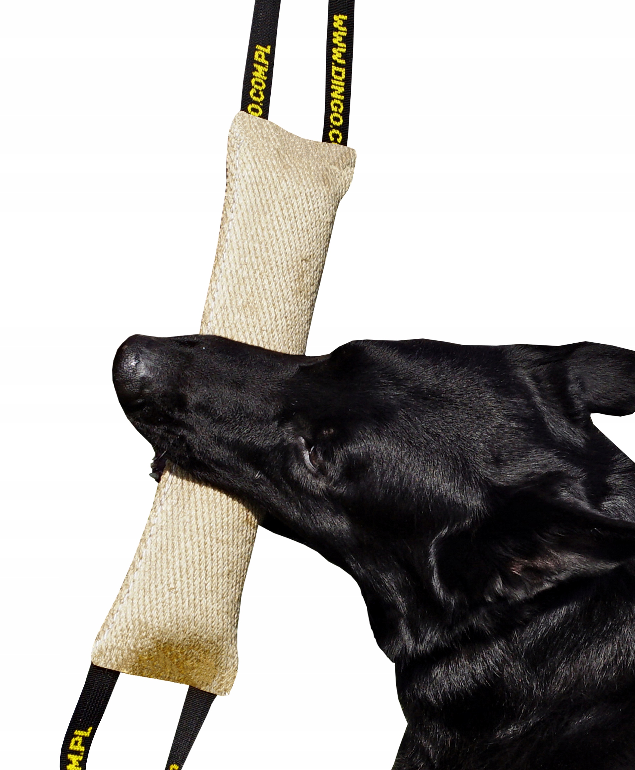 Levně Zapalovací cívka Porsche 911, 911 Targa, Boxster, Cayman 2.5-3.8