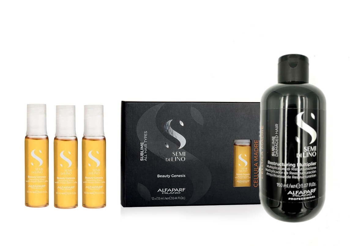 ALFAPARF SDL Cellula Madre Zestaw odbudowa MAŁY