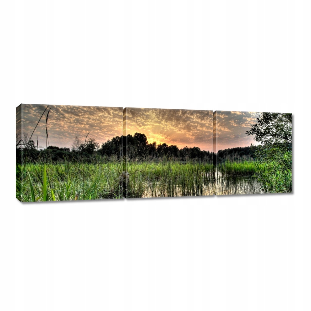 

Obrazy 60x20 Mokradło