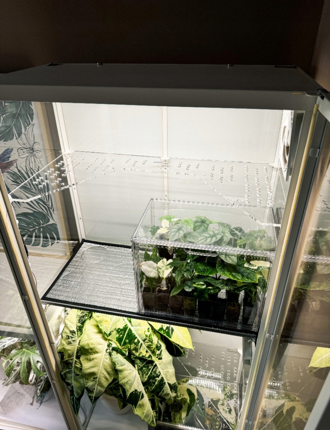 Milsbo Półki ZESTAW U i trójkątna roślinna witryna