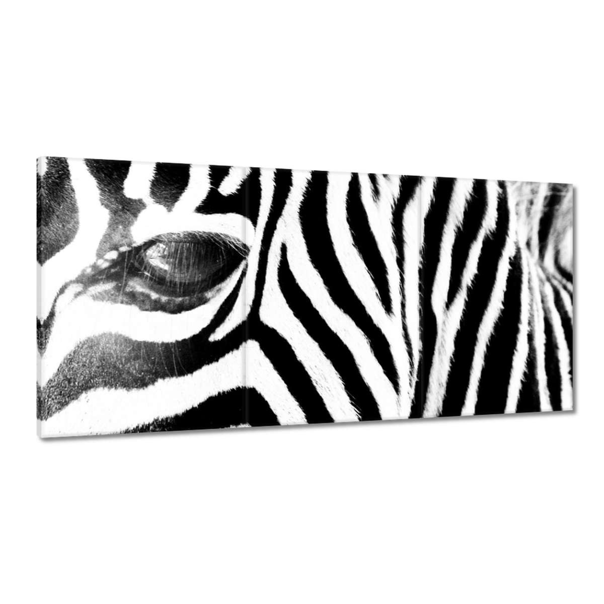 Obrazy 120x60 Zebra Pruhy